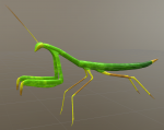 Mantis_20160209-02