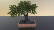 A Frame from the final Bonsai turntable render.